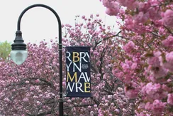 Apple Blossoms and BMC Flag Photo