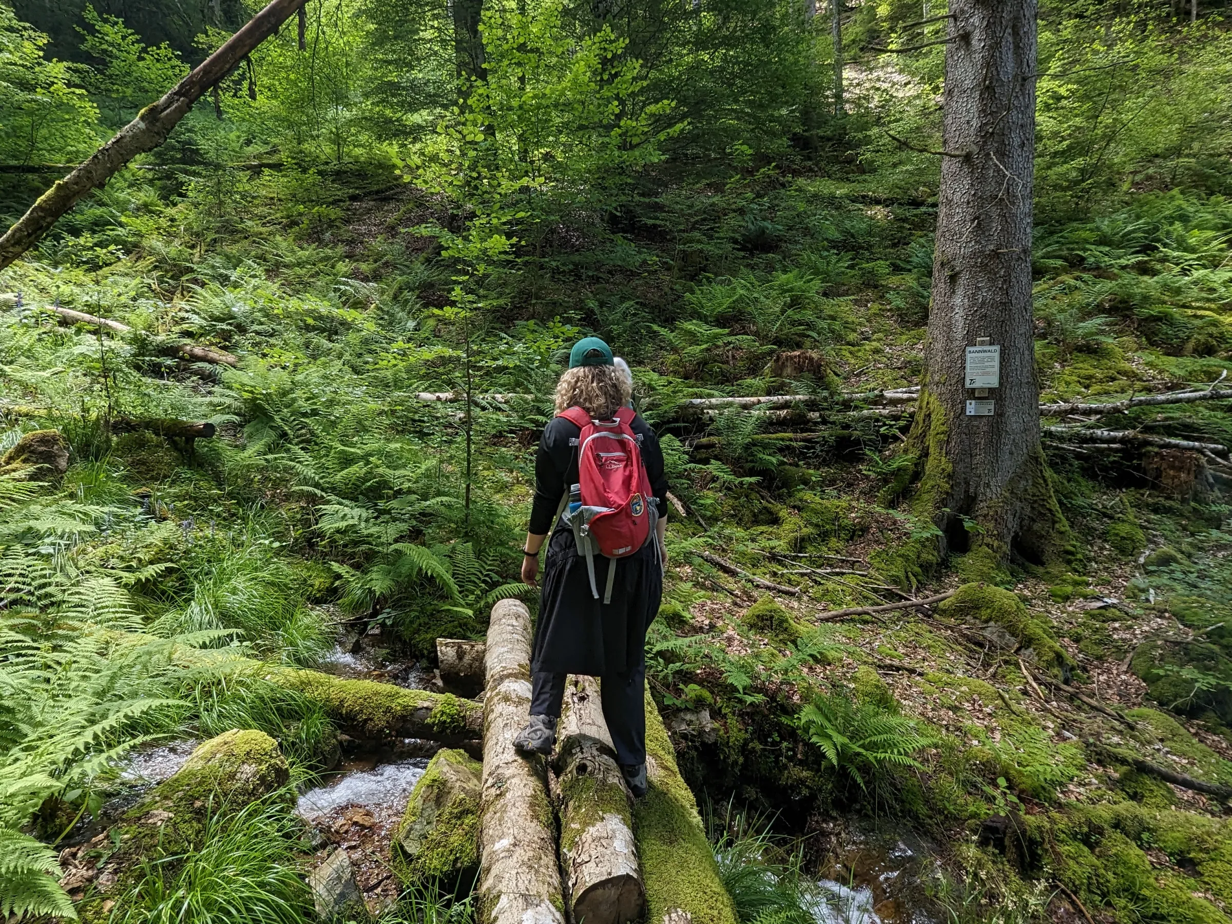 Juliana Vair '26 stands on bridge during summer internship in Germany