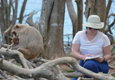 Monkeys in Puerto Rico