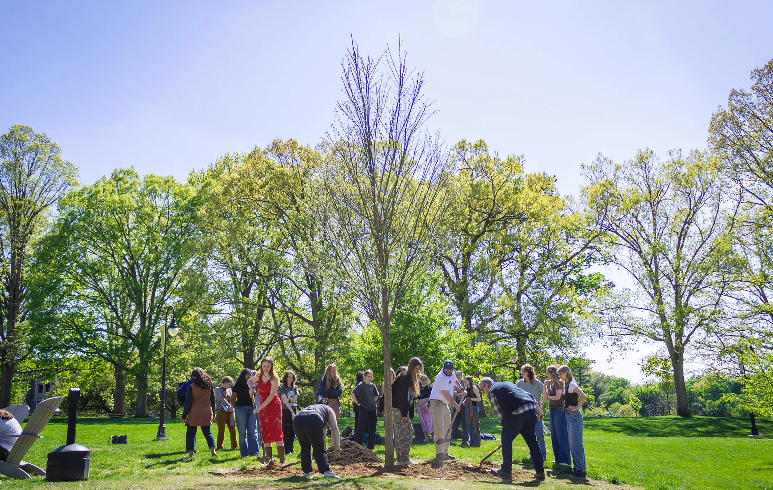 Biology students plant a tree