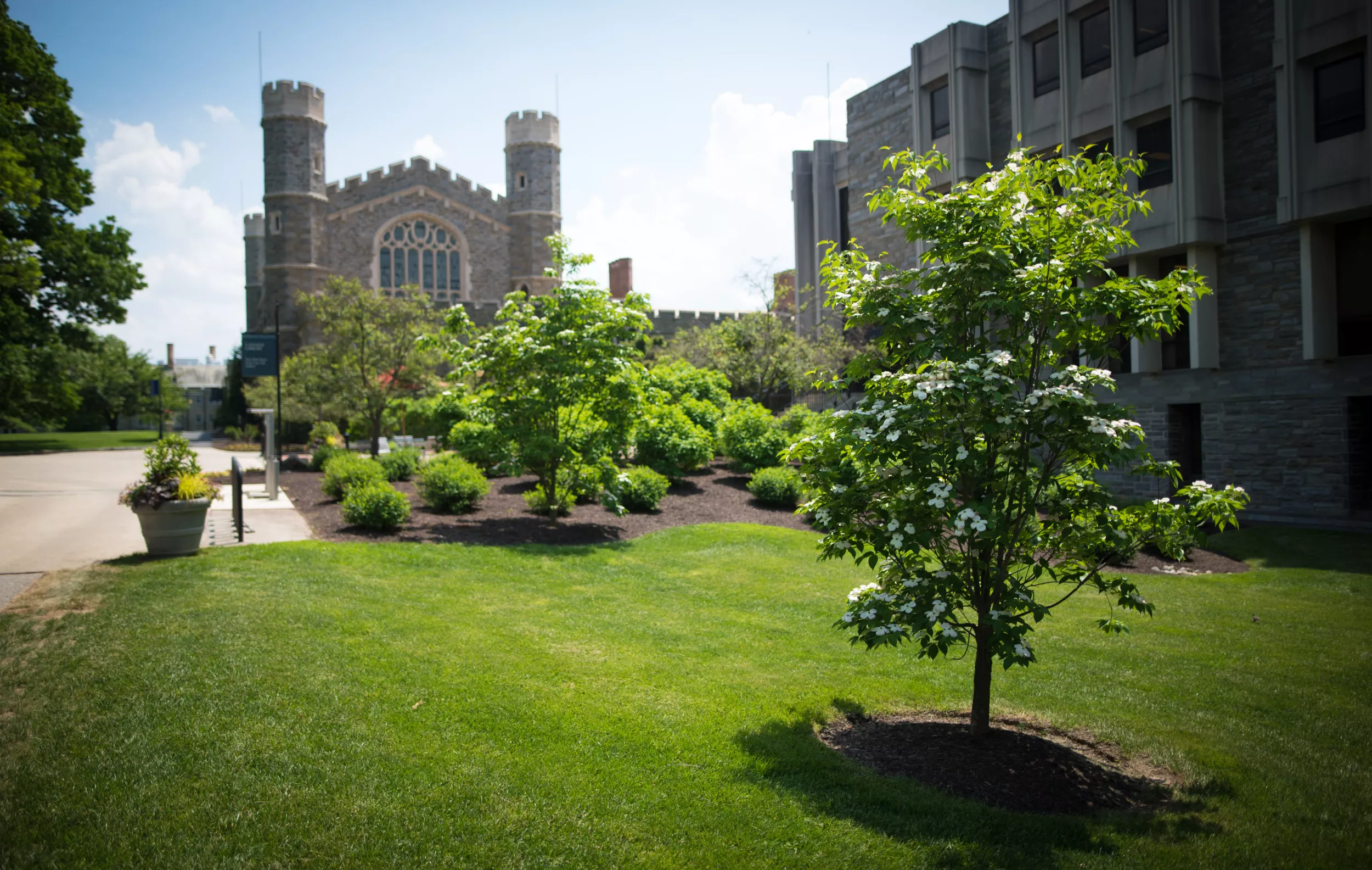 Old Library and Canaday Library