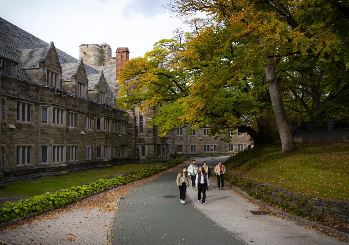 students on pathway