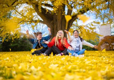 Students throwing ginko leaves