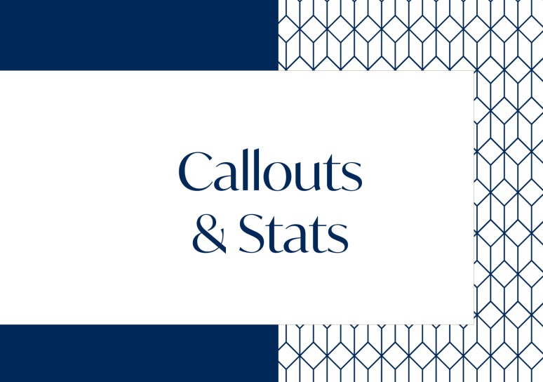 brand - design - feature medium - callouts stats