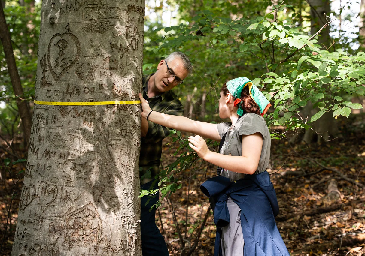 a student and professor measuring a tree