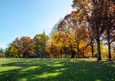 Merion Green and autumn trees with Taylor Hall in the distance