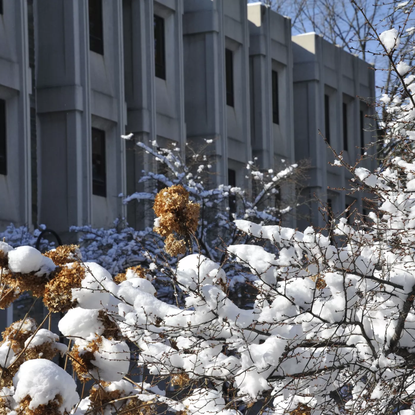 Canaday Library in the snow.