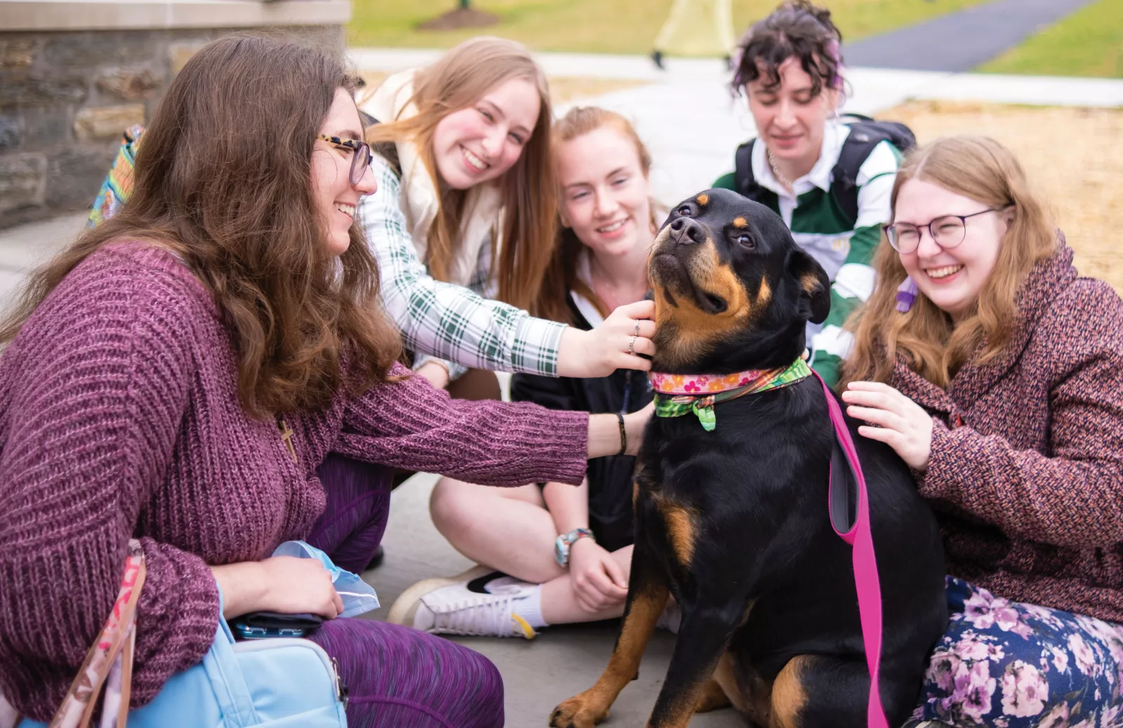 Smiling students surround therapy dog