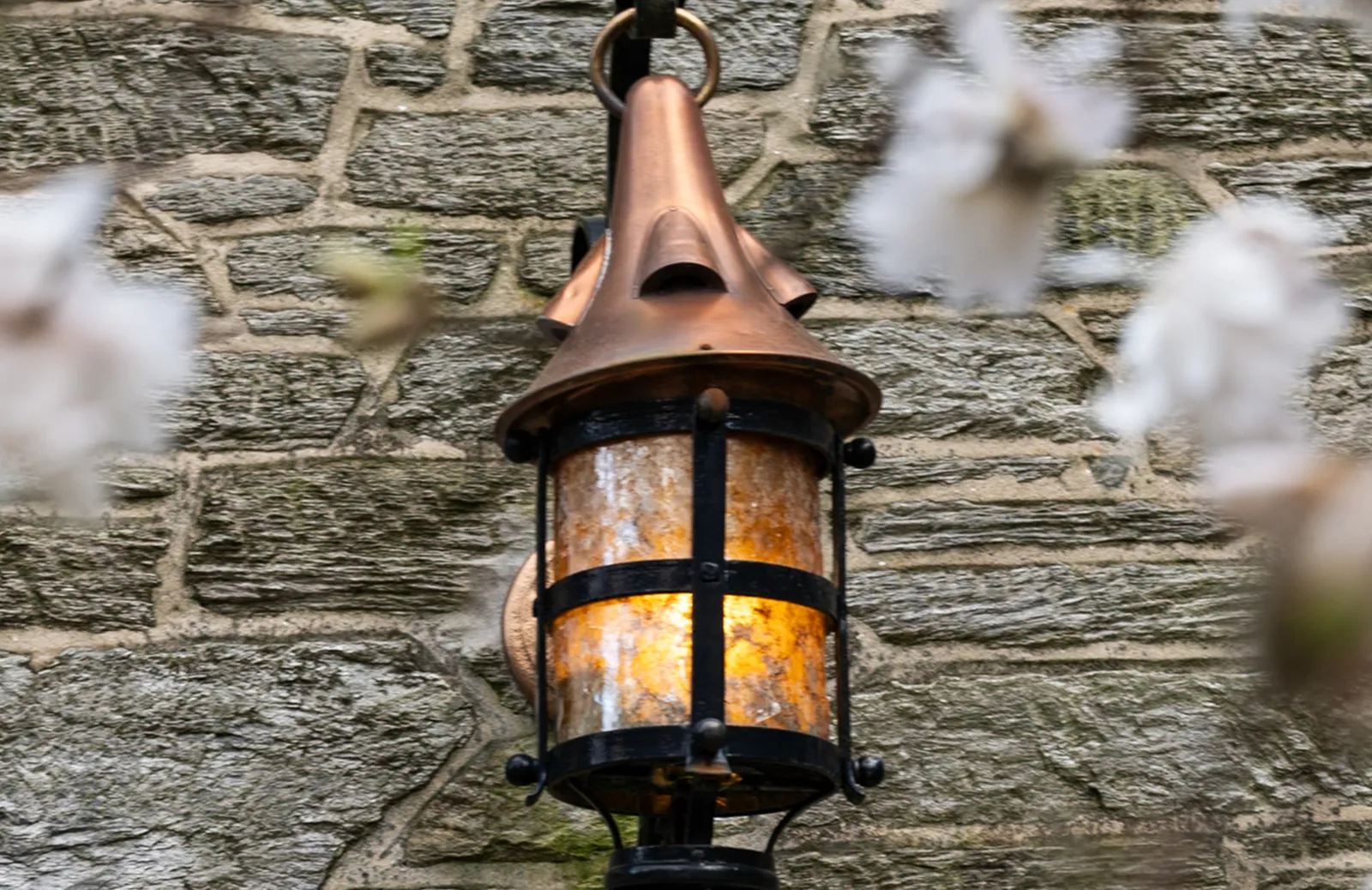 Event Image Placeholder - Default Image 23