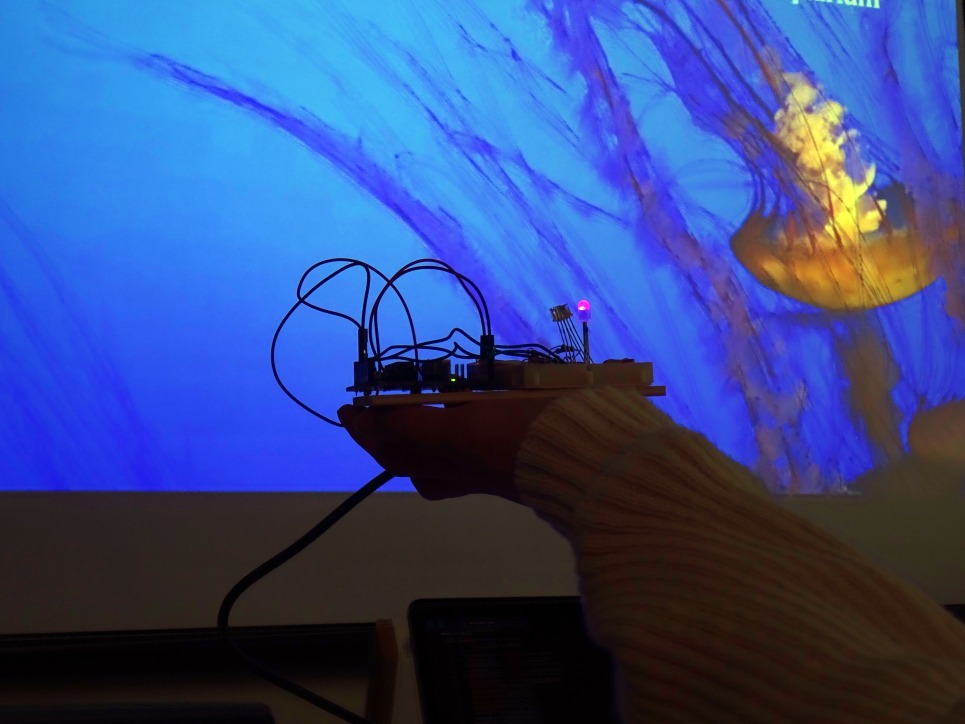 A student test A student tests their light sensor device, with a video of a jellyfish playing in the background, during the physical computing intensive