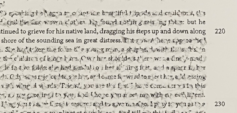 detail of work by artist Bethany Collins. Zoomed in to reveal erasure of text and remaining text "“but he continued to grieve for his native land, dragging his steps up and down along the shore of the sounding sea in great distress.” 