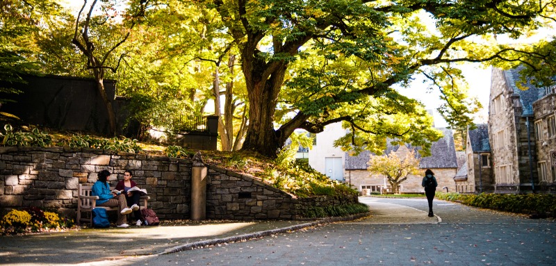 Trees and a bicycle