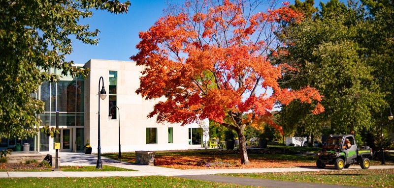 The Well exterior with a tree with red leaves on the front lawn.