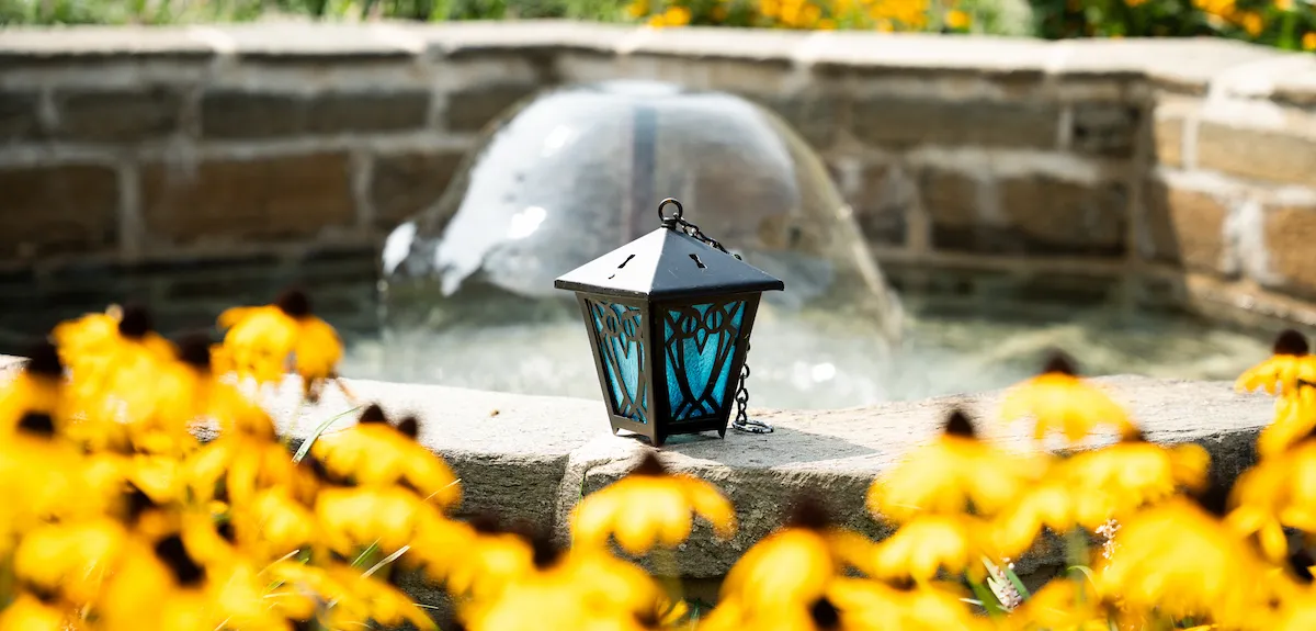 Lantern and flowers