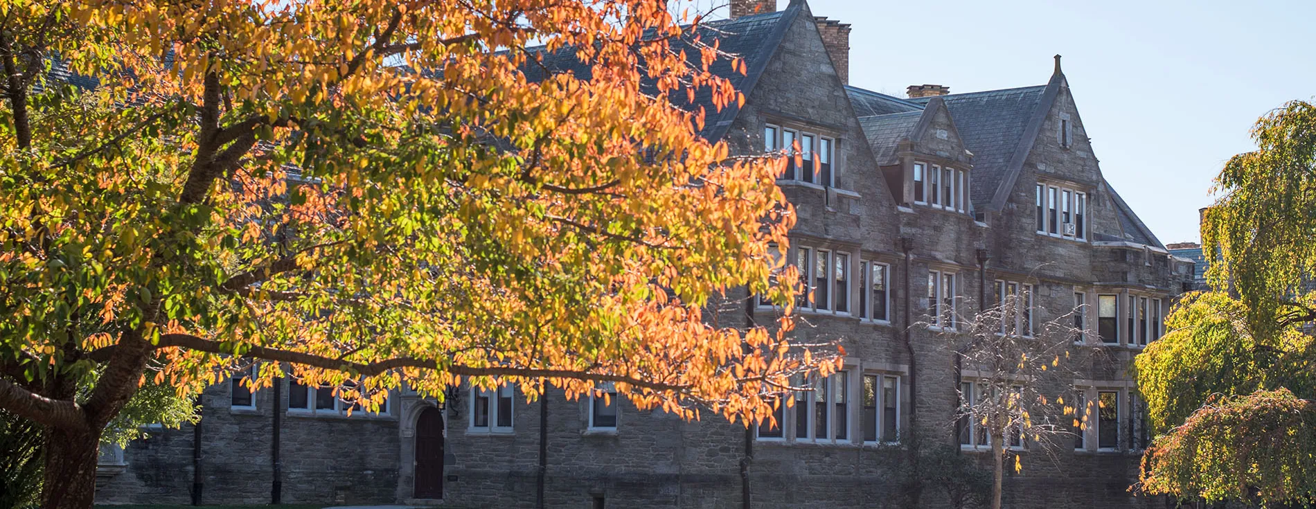 Fall on campus