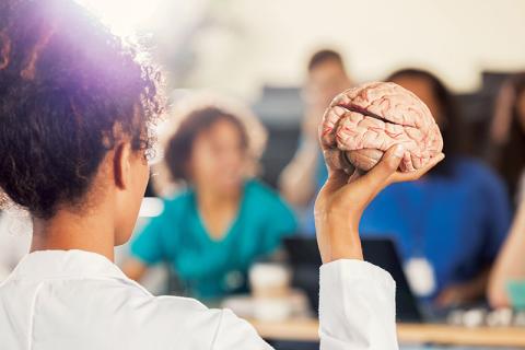 Instructor holding model of brain.