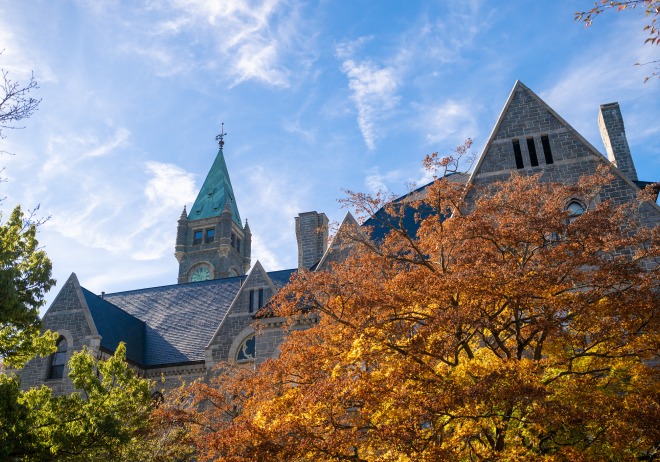 Taylor Hall building and a tree with orange leaves