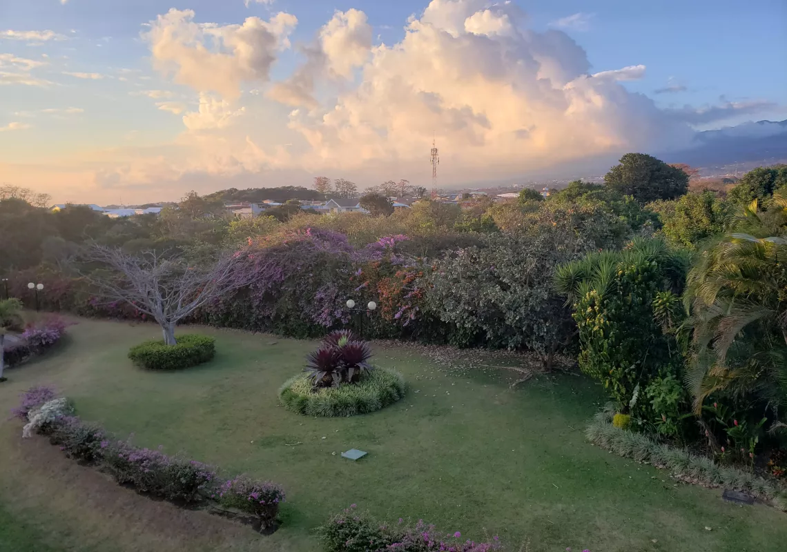 Twilight in Costa Rica, with grass and trees in the foreground and billowing clouds in the background