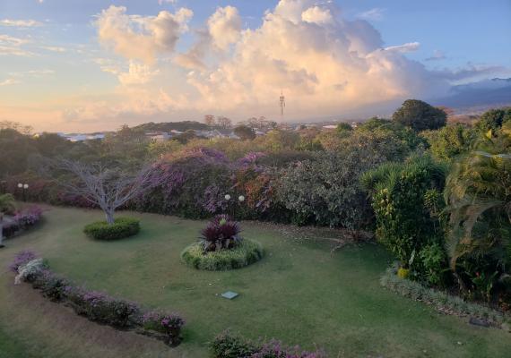 Twilight in Costa Rica, with grass and trees in the foreground and billowing clouds in the background