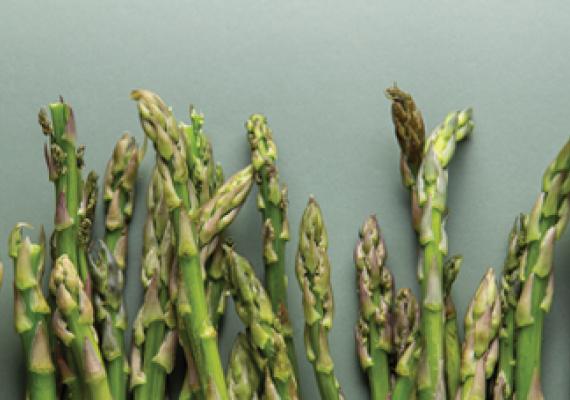 Asparagus Header