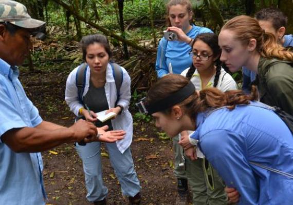 Group of 360 students in the field