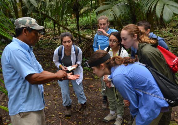 Group of 360 students in the field 