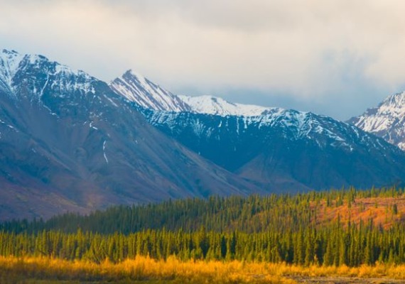 Denali Mountains