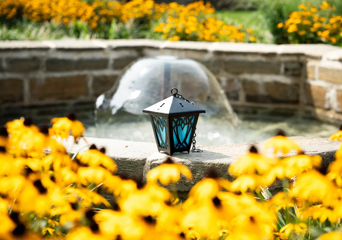 Lantern and flowers