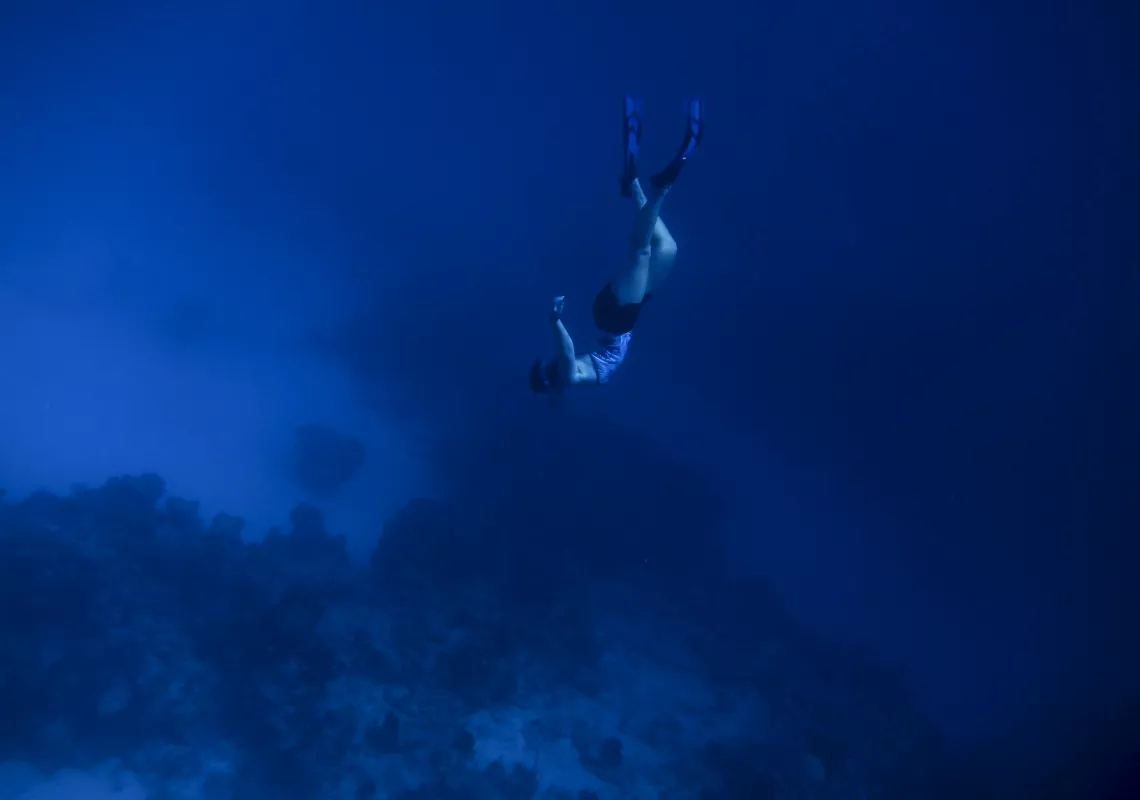 snorkeler swimming underwater