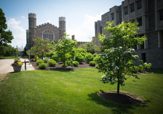 Old Library and Canaday Library