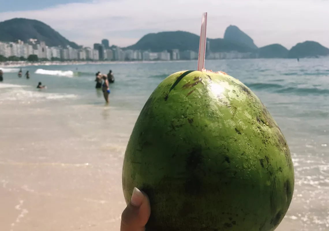 Coconut on beach in Brazil  