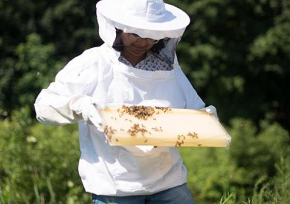 Ankitha Kannad in protective suit handling bees