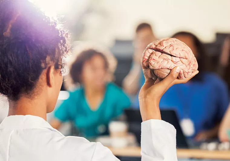 Instructor holding model of brain.