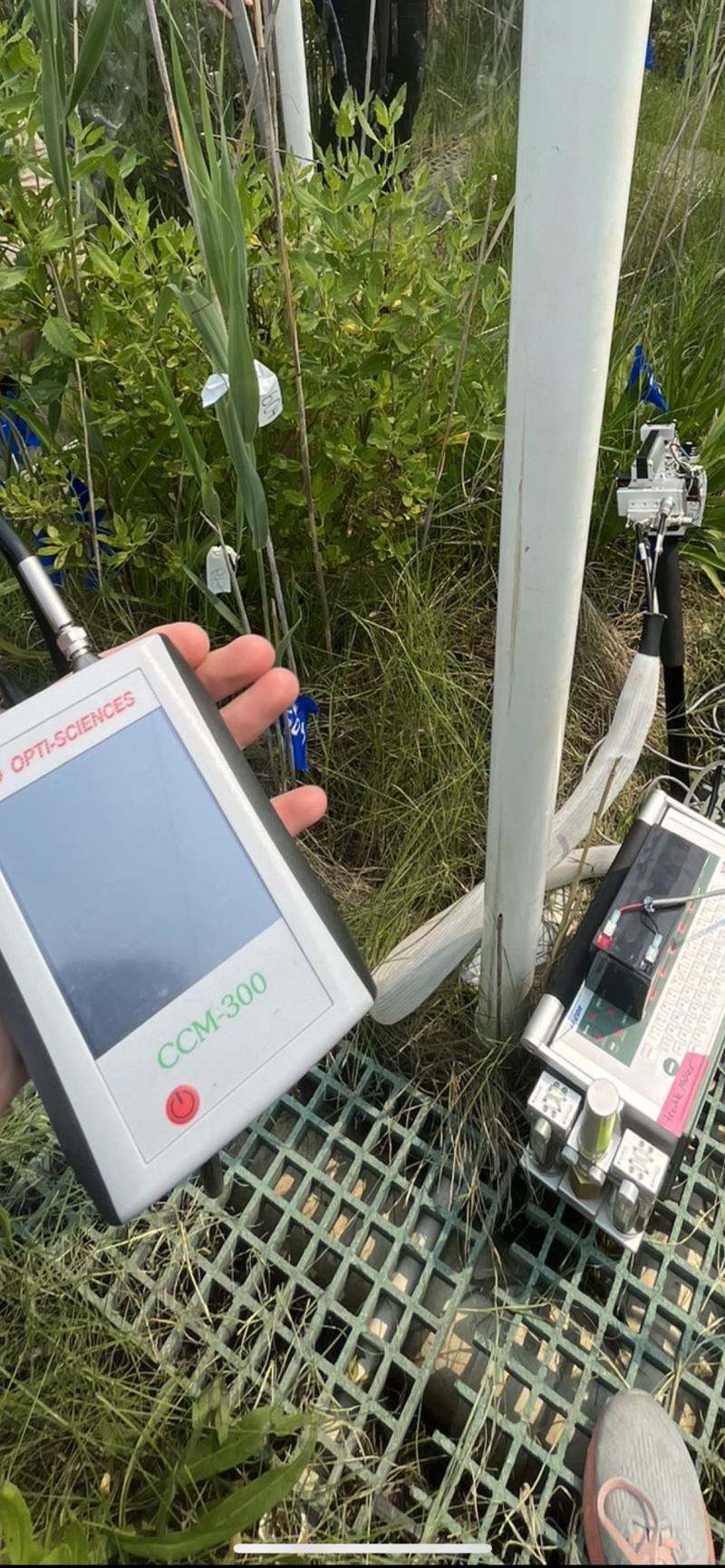 Lab equipment in a wetland. 