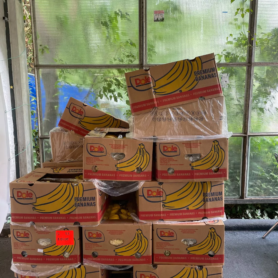 Box of bananas