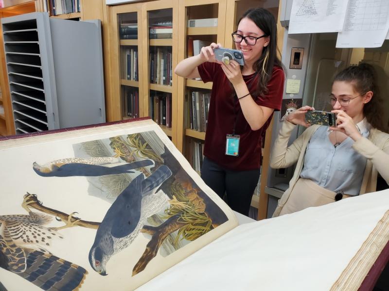 Two people examining birds in a conservation lab. 