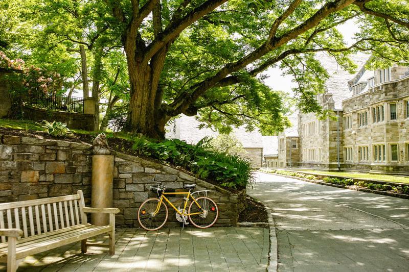 Rhoads exterior with bike, bench, and owl