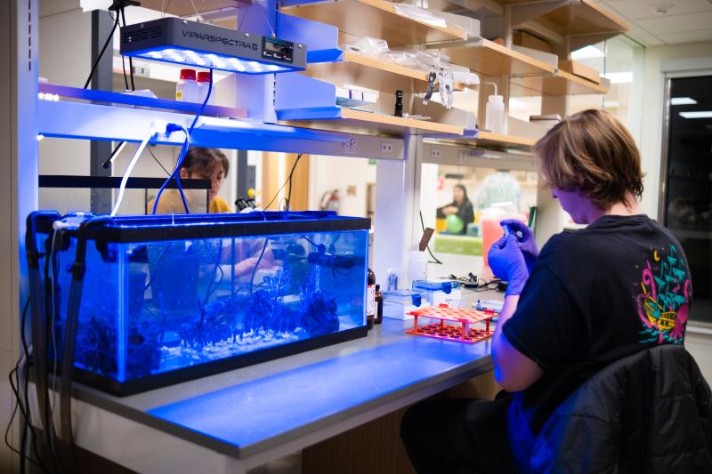 Michael studies coral in the Physics lab