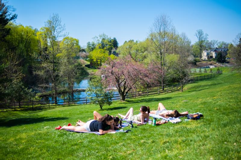 students on rhoads beach