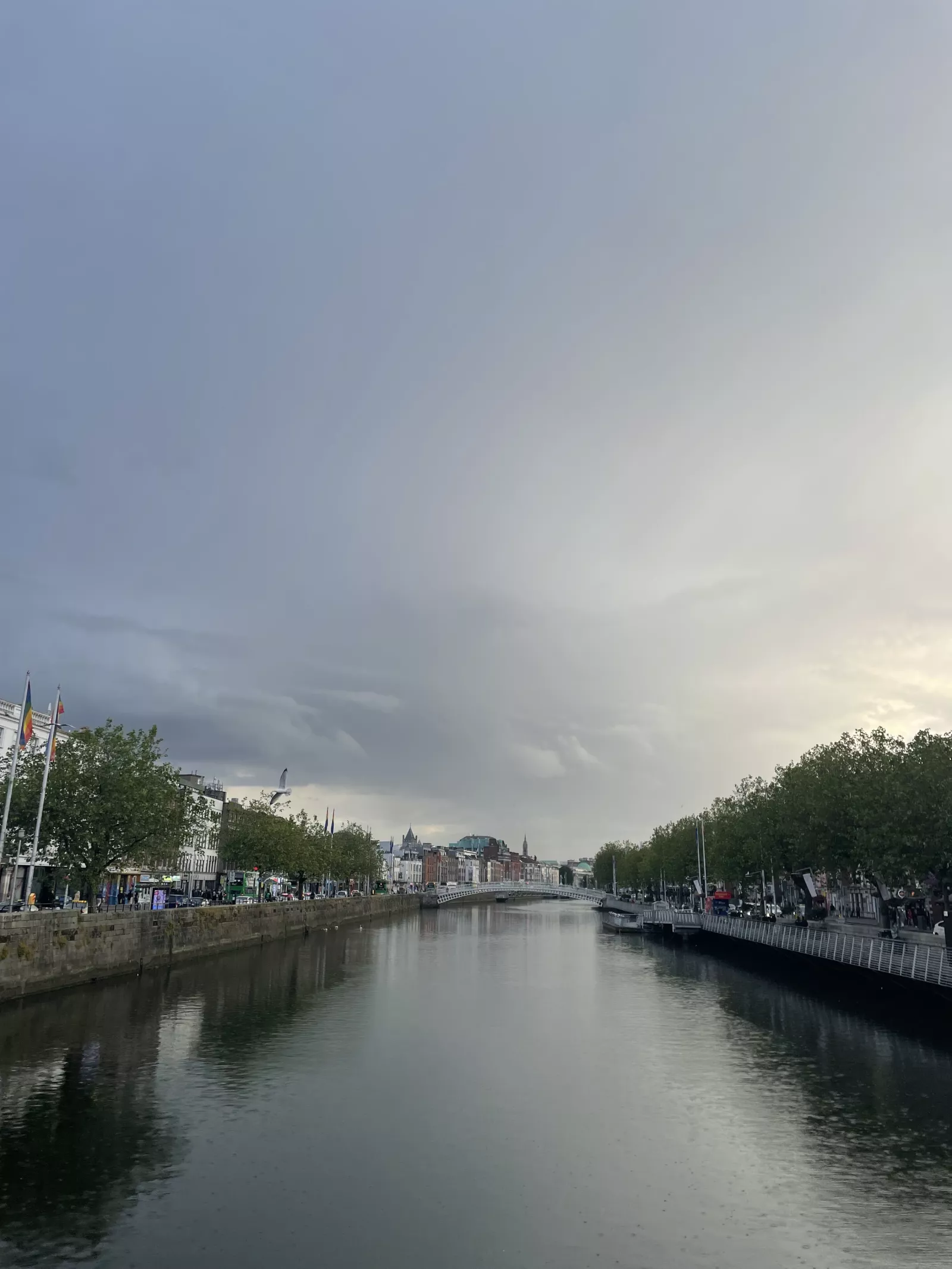 A view of the River Liffey 