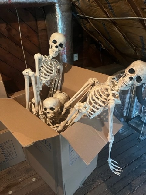 Halloween skeletons in a box