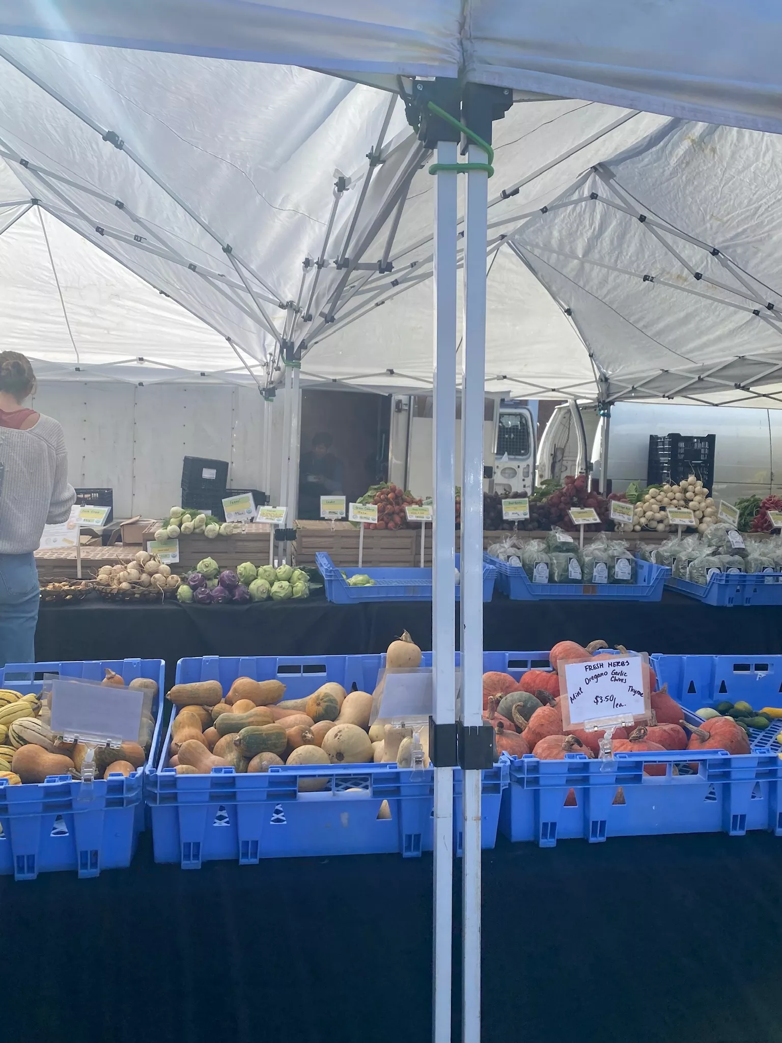 Fresh produce sold at the Bryn Mawr Farmers Market