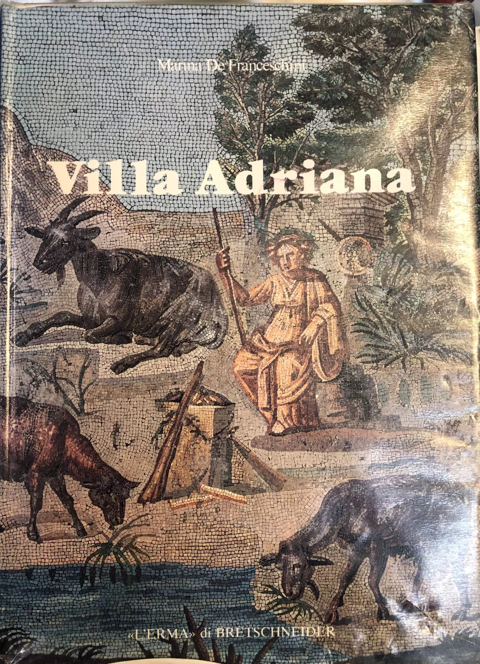 Book cover of Villa Adriana