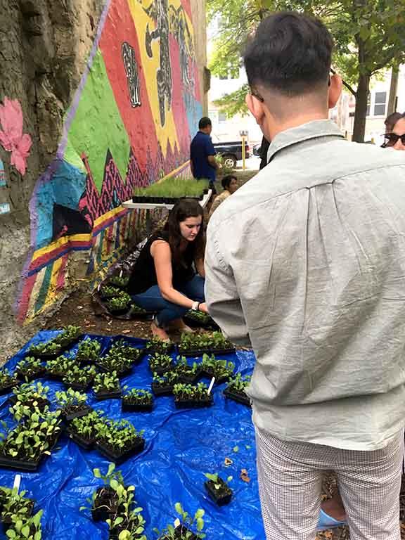 Amy Stein working with seedlings at a community garden