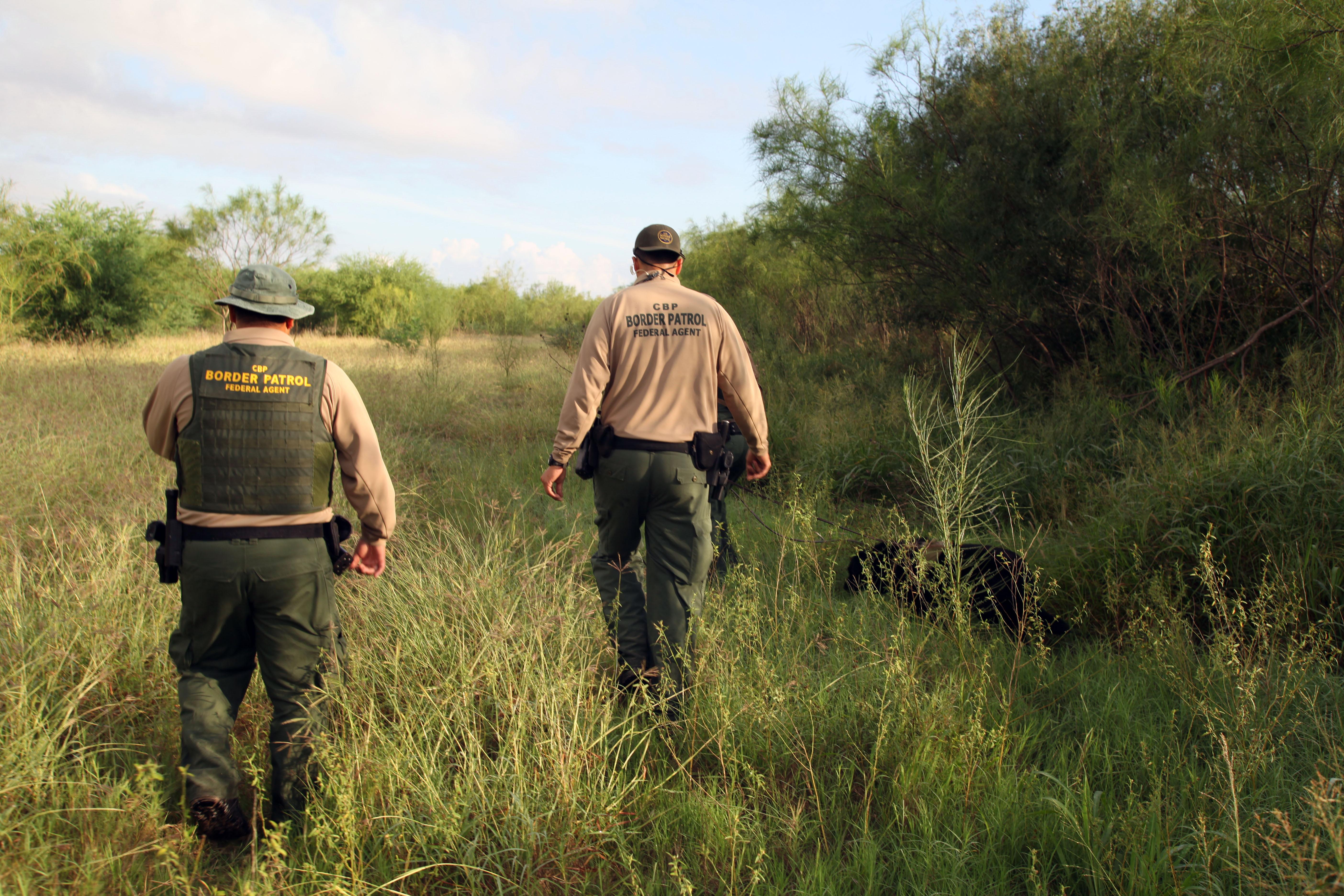 Two border patrol agents walking in tall grass